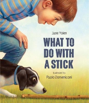 What to do with a Stick: A remarkable toy - Jane Yolen - cover