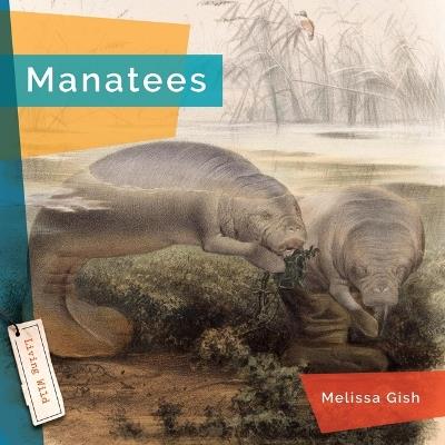 Manatees - Melissa Gish - cover