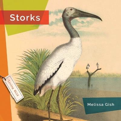 Storks - Melissa Gish - cover