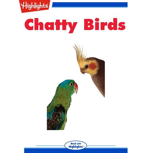 Chatty Birds