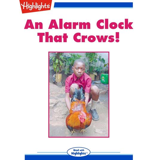 Alarm Clock That Crows!, An