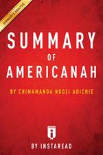 Summary of Americanah