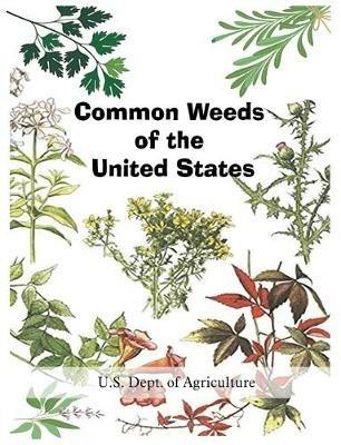 Common Weeds of the United States - U S Dept of Agriculture - cover