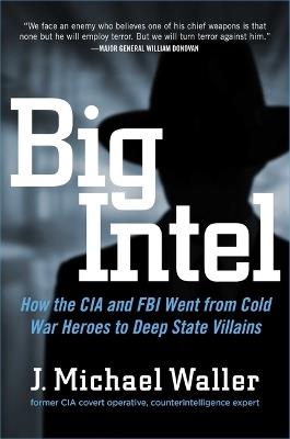 Big Intel: How the CIA and FBI Went from Cold War Heroes to Deep State Villains - J Michael Waller - cover