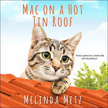 Mac on a Hot Tin Roof