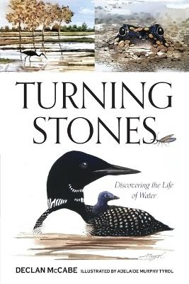 Turning Stones: Discovering the Life of Water - Declan McCabe - cover