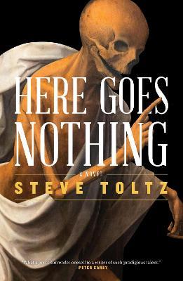 Here Goes Nothing - Steve Toltz - cover