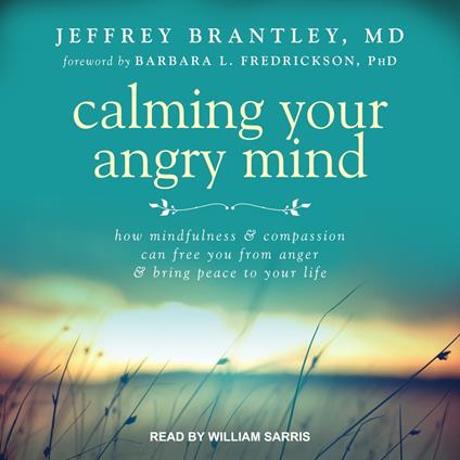 Calming Your Angry Mind