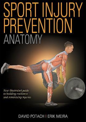 Sport Injury Prevention Anatomy - David Potach,Erik Meira - cover