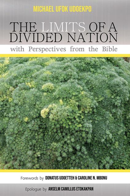 The Limits of a Divided Nation with Perspectives from the Bible