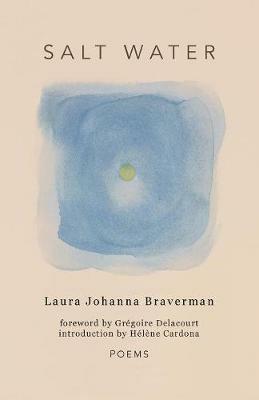 Salt Water - Laura Johanna Braverman - cover