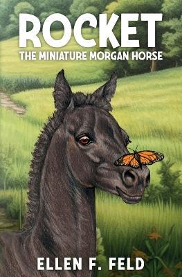 Rocket: The Miniature Morgan Horse - Ellen F Feld - cover