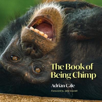 The Book of Being Chimp - Adrian Cale - cover