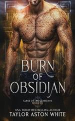 Burn of Obsidian: A Dark Paranormal Romance