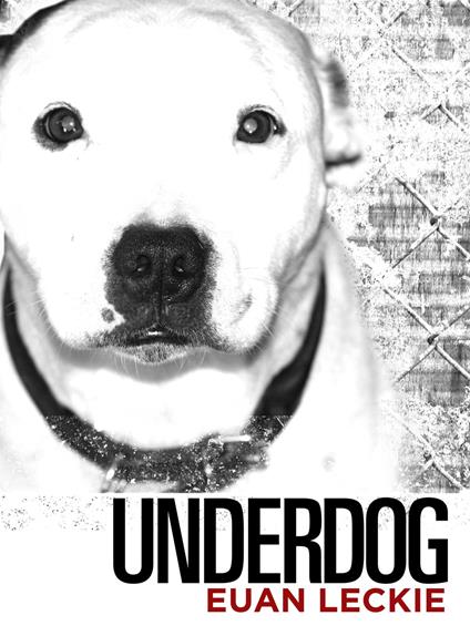 Underdog - Euan Leckie - ebook