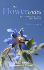 The Flower Codes: Plant Spirit Teachings for your Soul to Blossom