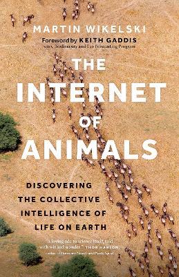 The Internet of Animals: Discovering the Collective Intelligence of Life on Earth - Martin Wikelski - cover