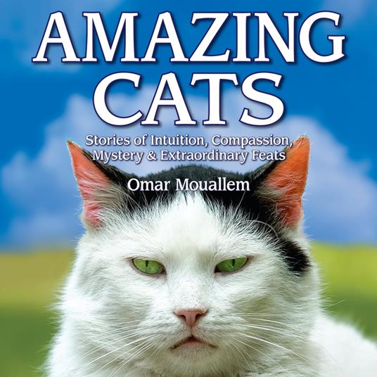 Amazing Cats