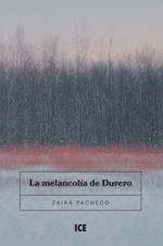 La Melancolía de Durero