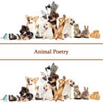 Poetry Of Animals, The