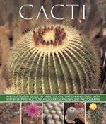 Cacti