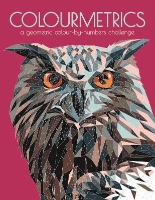 Colourmetrics: A Geometric Colour by Numbers Challenge - Max Jackson,Buster Books - cover