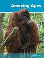 Amazing Apes: Set 2