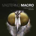 Mastering Macro Photography