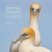 British Wildlife Photography Awards 10 - Maggie Gowan - cover