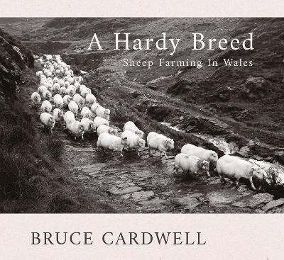 A Hardy Breed - Bruce Cardwell - cover