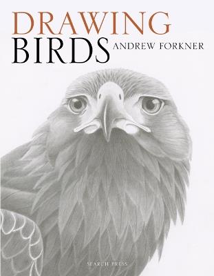 Drawing Birds - Andrew Forkner - cover