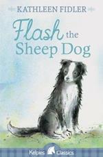 Flash the Sheep Dog