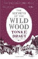 The Secrets of the Wild Wood (Winter Edition) - Tonke Dragt - cover