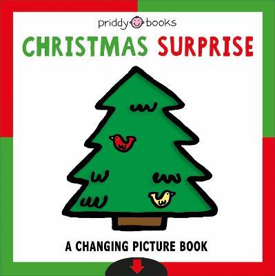 Christmas Surprise - Roger Priddy - cover