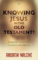 Knowing Jesus in the Old Testament?: A Fresh Look At Christophanies