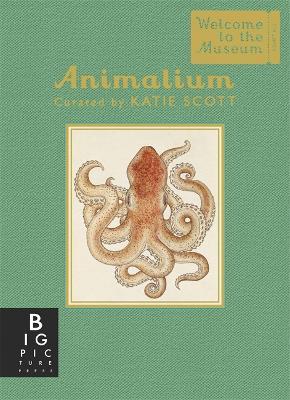 Animalium (Mini Gift Edition) - Jenny Broom - cover