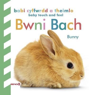 Babi Cyffwrdd a Theimlo: Bwni Bach / Baby Touch and Feel: Bunny - DK - cover