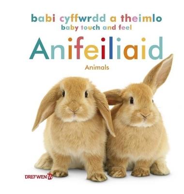 Babi Cyffwrdd a Theimlo: Anifeiliaid / Baby Touch and Feel: Animals: Baby Touch and Feel: Animals - Dref Wen - cover