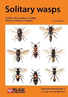 Solitary wasps - Peter F. Yeo,Sarah A. Corbet - cover