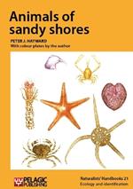 Animals of sandy shores