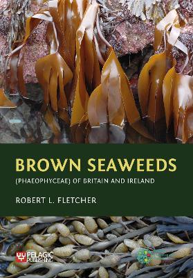 Brown Seaweeds (Phaeophyceae) of Britain and Ireland - Robert L. Fletcher - cover