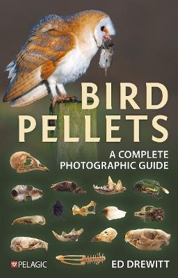 Bird Pellets: A Complete Photographic Guide - Ed Drewitt - cover