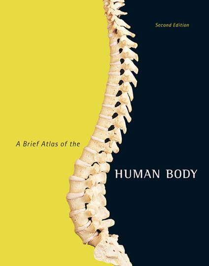 Brief Atlas of the Human Body, A - B. Mallatt, Jon - Brady Wilhelm,  Patricia - Ebook in inglese - EPUB3 con Adobe DRM | IBS