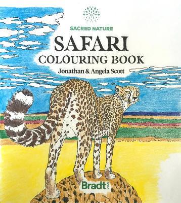 Sacred Nature Safari Colouring Book - Jonathan Scott - cover