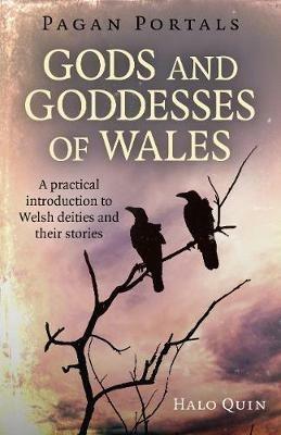 Pagan Portals - Gods and Goddesses of Wales: A practical introduction to Welsh deities and their stories - Halo Quin - cover