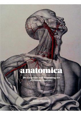 Anatomica: The Exquisite and Unsettling Art of Human Anatomy - Joanna Ebenstein - cover