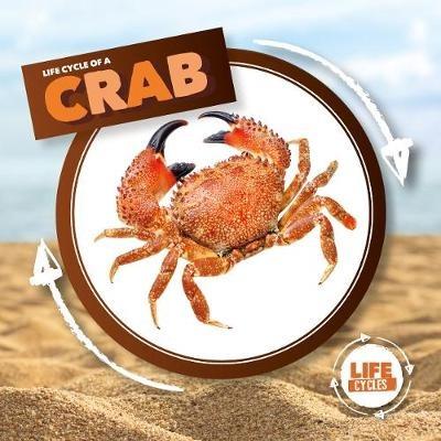 Crab - Kirsty Holmes - cover