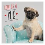 Love is a Pug