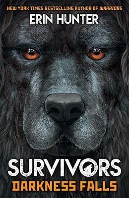 Survivors Book 3: Darkness Falls - Erin Hunter - cover