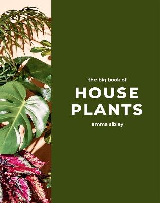 The Big Book of House Plants - Emma Sibley - cover